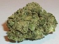 buy AK-47 Strains Weed online