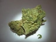 BC Big Bud Strains for sale