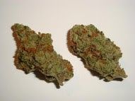 Rcchemicallabs