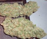 Rcchemicallabs