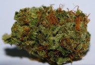 Rcchemicallabs