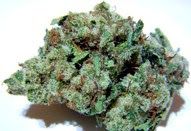Rcchemicallabs