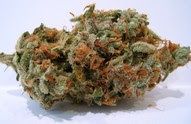 Rcchemicallabs