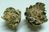 Rcchemicallabs
